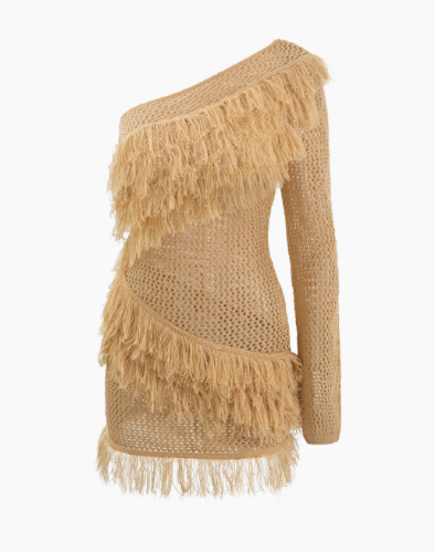 One Shoulder Fringe Openwork Knit Dress