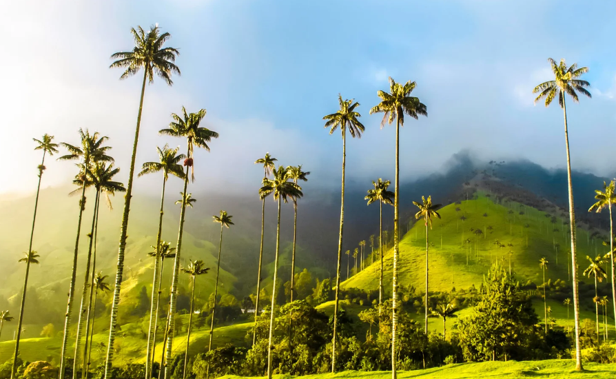 Colombia Salento