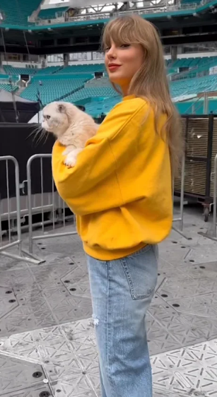Taylor Swift Era's Tour holding her cat