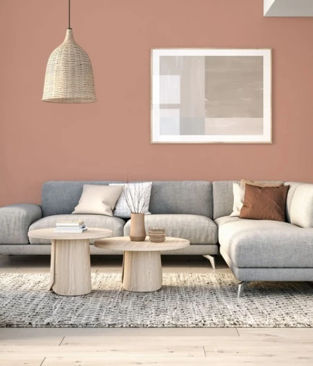 Clay tone wall color