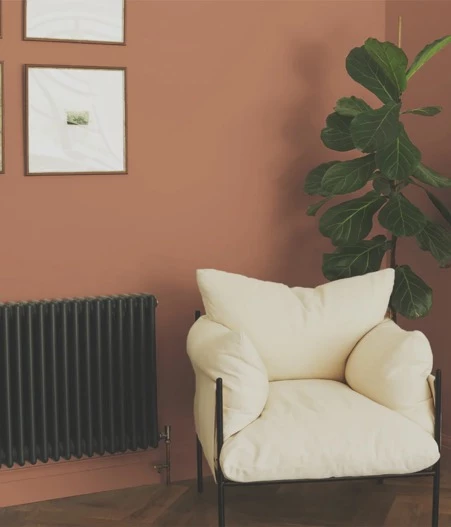 Dark Warm Tones wall color